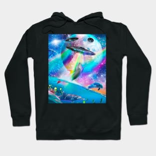 Cute Galaxy Dolphin UFO Abduction, Rainbow Space Hoodie